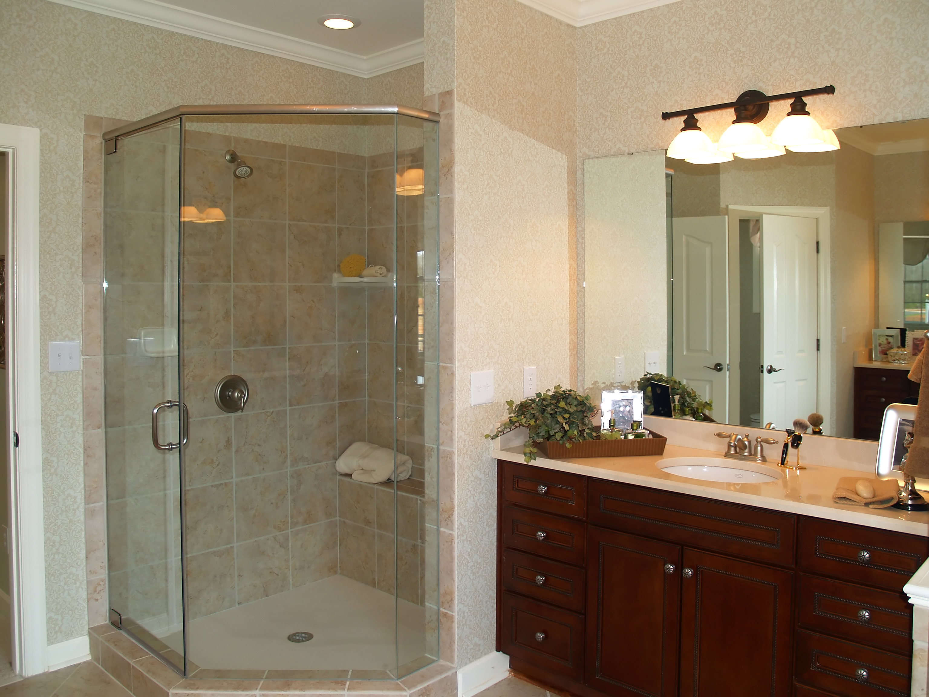 shower door 